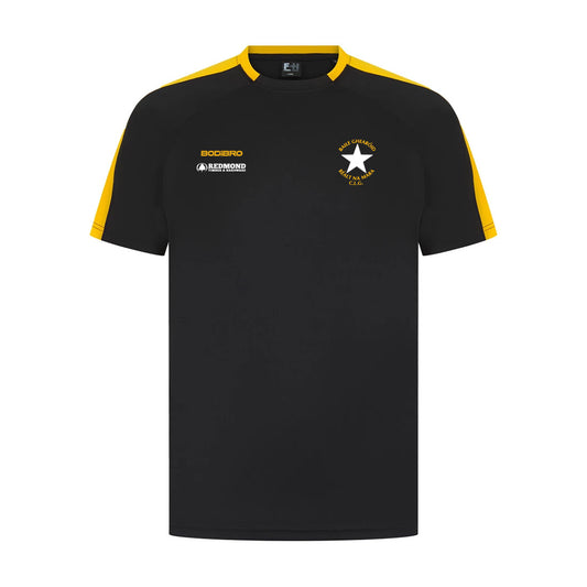 Ballygarrett Réalt na Mara Perth Team T-Shirt | Black/Gold